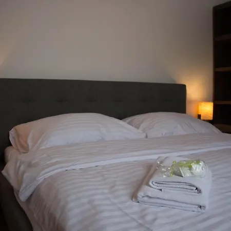 Pod Plesivcem Apartment *