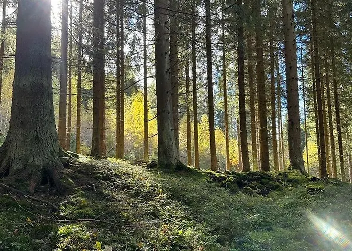 Lägenhet Pod Plesivcem